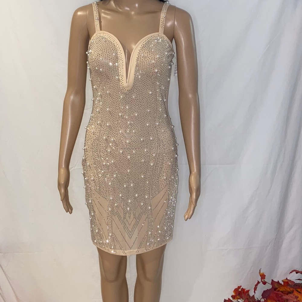 Nude Sheer Sparkly dress with Pearls